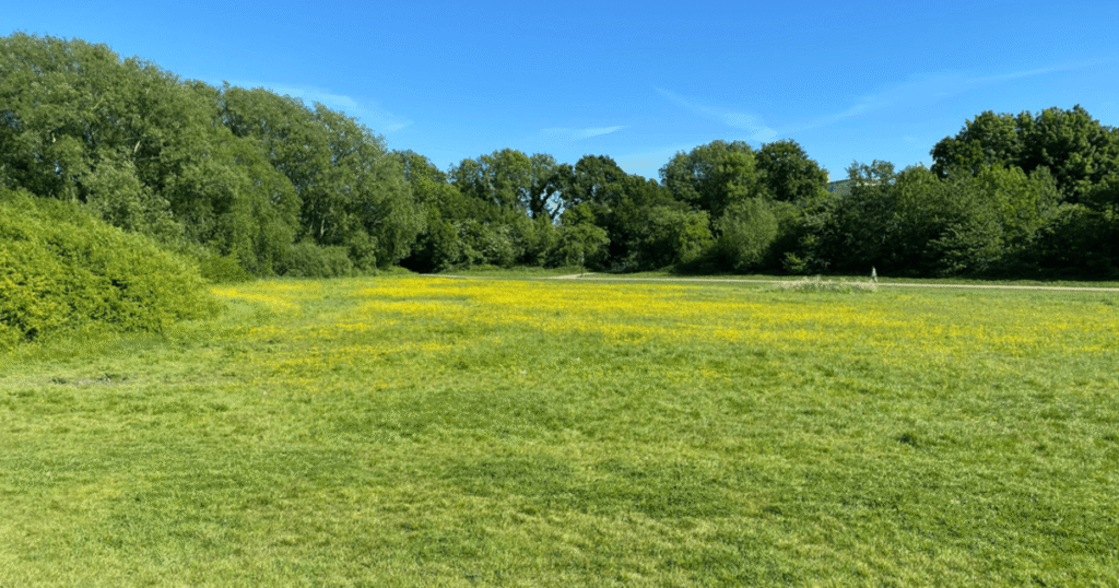 Parks with lakes in Birmingham

Quiet parks in Birmingham for relaxation

Where to go for a picnic in Birmingham

Parks with panoramic views Birmingham

Wildlife parks in Birmingham UK