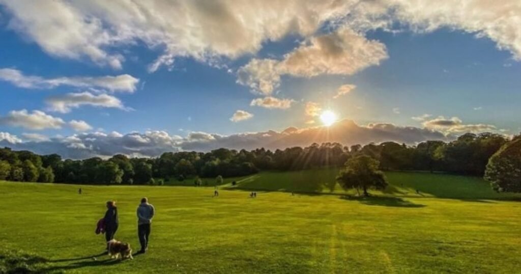 Warley Woods – History Meets Greenery