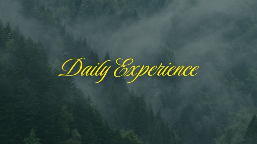 Daily Experience